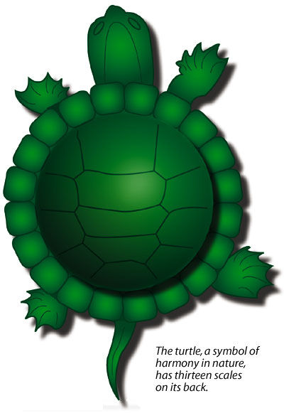 Turtle of the Thirteen Moons – Tortuga 13:20