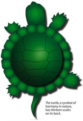 13-moon-turtle