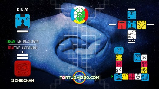 Overtone Monkey / Mono Entonado