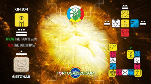 Cosmic Seed / Semilla Cósmica