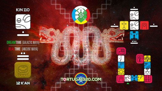 Rhythmic Dog / Perro Rítmico