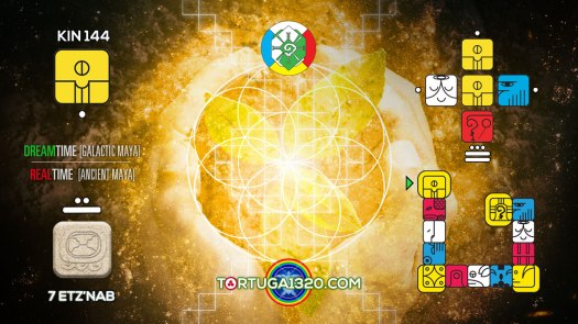 Magnetic Seed / Semilla Magnética