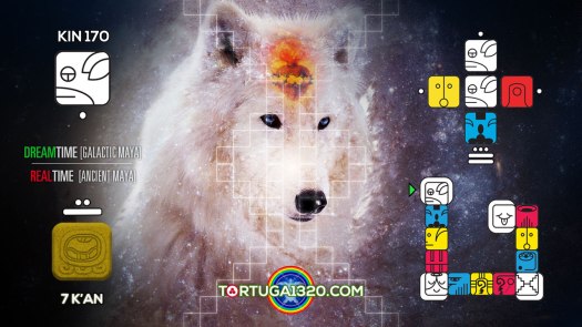 Magnetic Dog / Perro Magnético