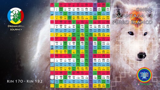 onda-encantada-perro-blanco-tzolkin